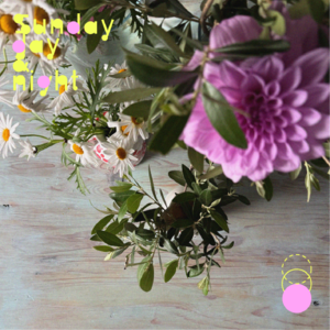 006 春日和普鲁斯特问卷