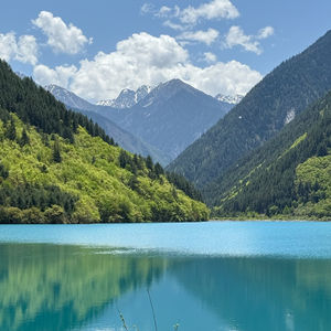 不着急的笨人生