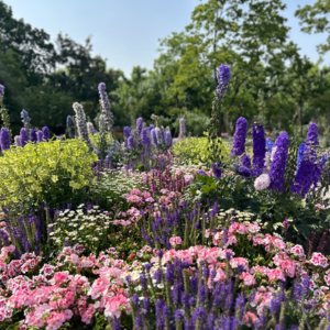 EP10 母亲节，让我们继续在相爱相杀的母女关系里相互奔赴。祝福妈妈们，请自私一点，多一点时间做自己吧~