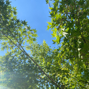 vol.1| 东西本身，并不能给你带来幸福