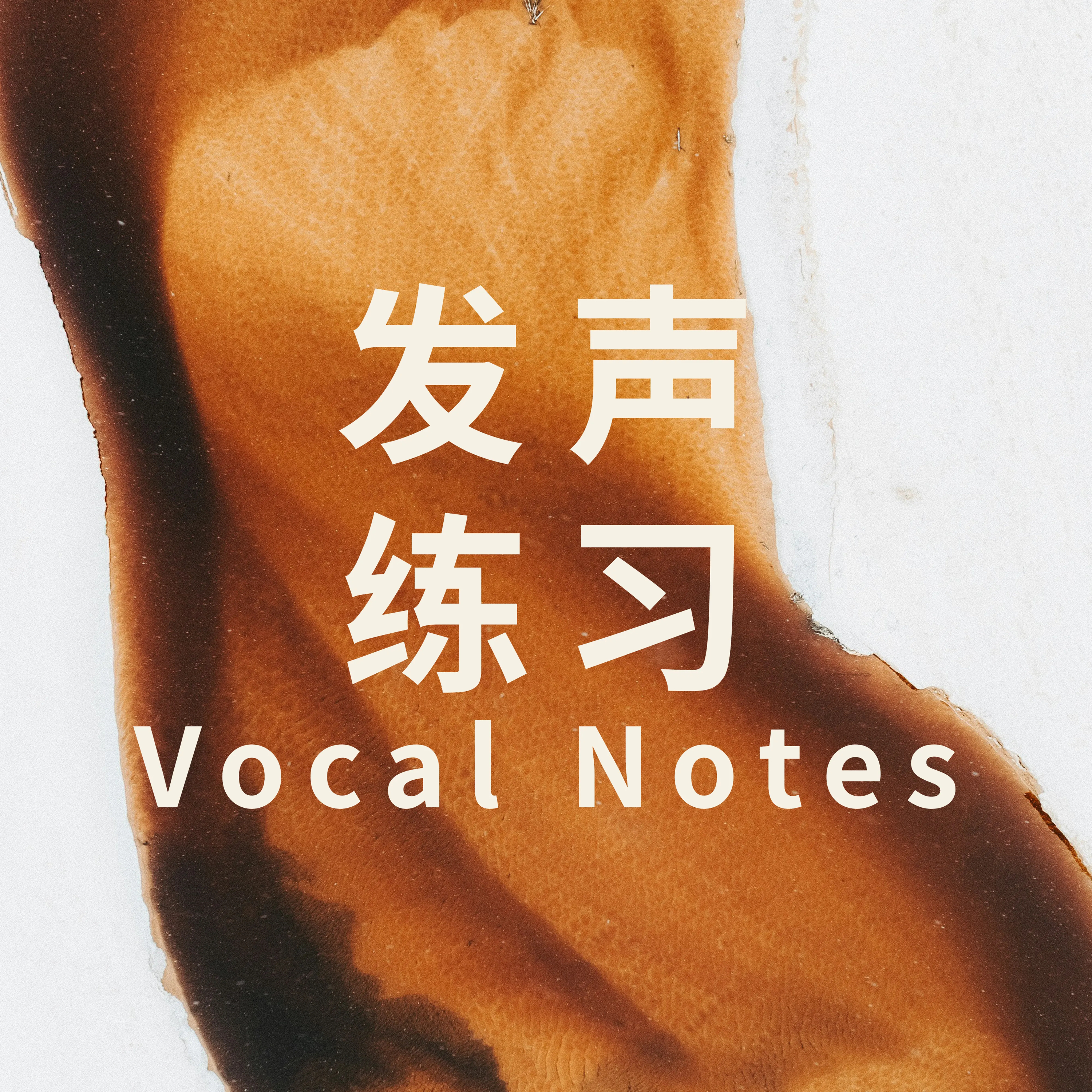 发声练习vocal notes
