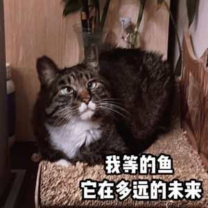 vol.3 到底什么时候能辞职,BRBR叙利亚餐厅