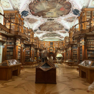 从小镇到美国 ——带着“差生心态”实践副业的纯纯