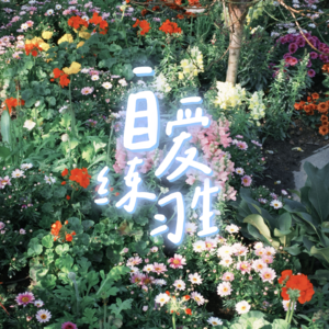 E124. 女生一定要学会“稳”｜穷尽一切做事，好运滚滚而来