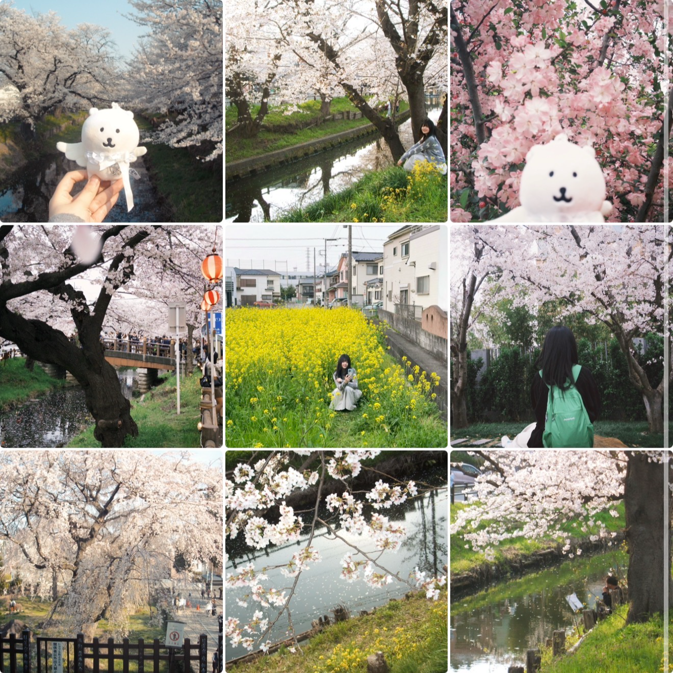 要定期发朋友圈刷刷存在感 📅 26.Apr.17 episode artwork