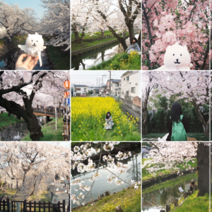 要定期发朋友圈刷刷存在感 📅 26.Apr.17