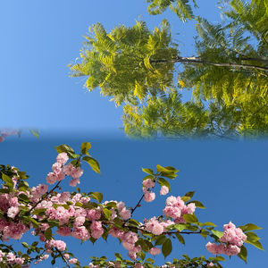 伊朗电影《小鞋子》｜戳中心尖