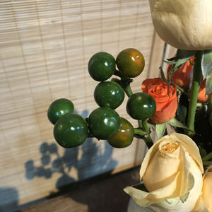 孤独、写作、媒介、移民、心理治疗