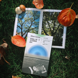 27.在看见与聆听中理解世界