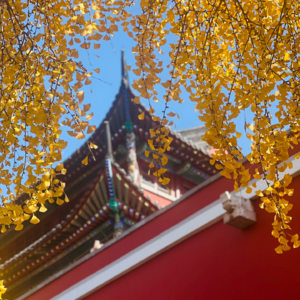 15.守住我们温暖有序安宁的内心，才能充满能量应对外部的不确定性