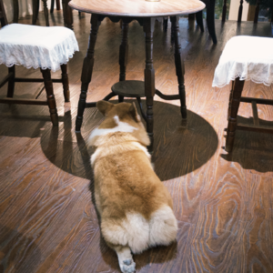 怎么有人能把短篇写得这么跌宕起伏 📅 Sep.2