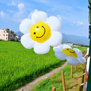 EP022 什么？！旅行特辑之带妈妈到云南去，到昆明大理去？！