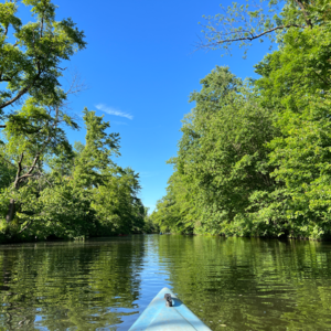 23 -《悉达多》| 在沉沦与觉醒的河流中，终将成为自己的摆渡人