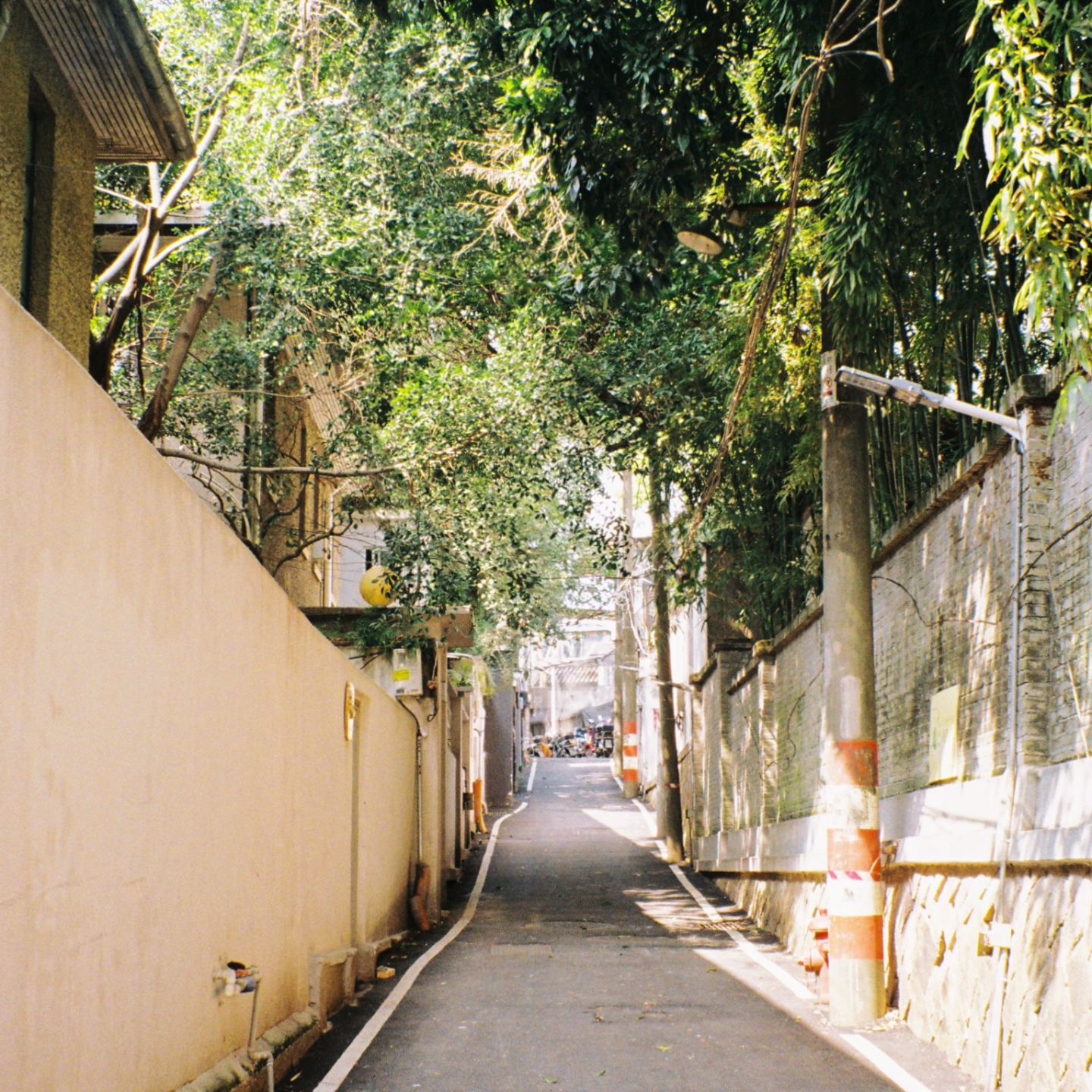 cover of episode 春分时节 树岛序春给你无言深拥
