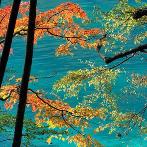 夜半无人尸语时