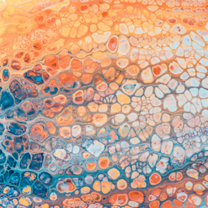 Vol.1 系统0:情绪到行为的底层系统