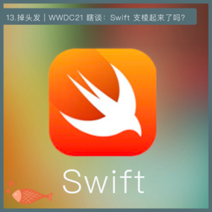 13.掉头发丨WWDC21 瞎谈:Swift 支棱起来了吗?