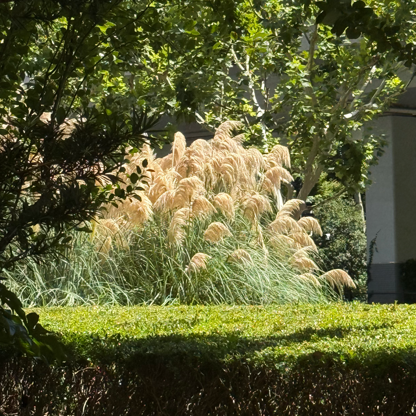 028 没在今年夏天面试过29个岗位的财务人，不是好的北大在读心理研究生 episode artwork