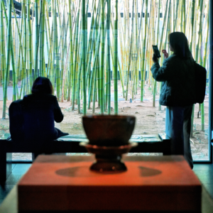 第十六期 苏州博物馆:光影与珍宝的对话-下