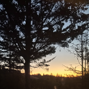 新赛季导言|我愿跨越千山万水,赴一场盛宴