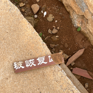 太好了！是朋友！我们的年终总结有救啦！
