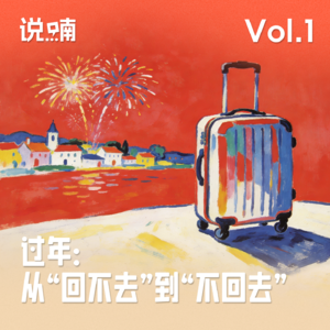Vol.1 过年:从“回不去”到“不回去”