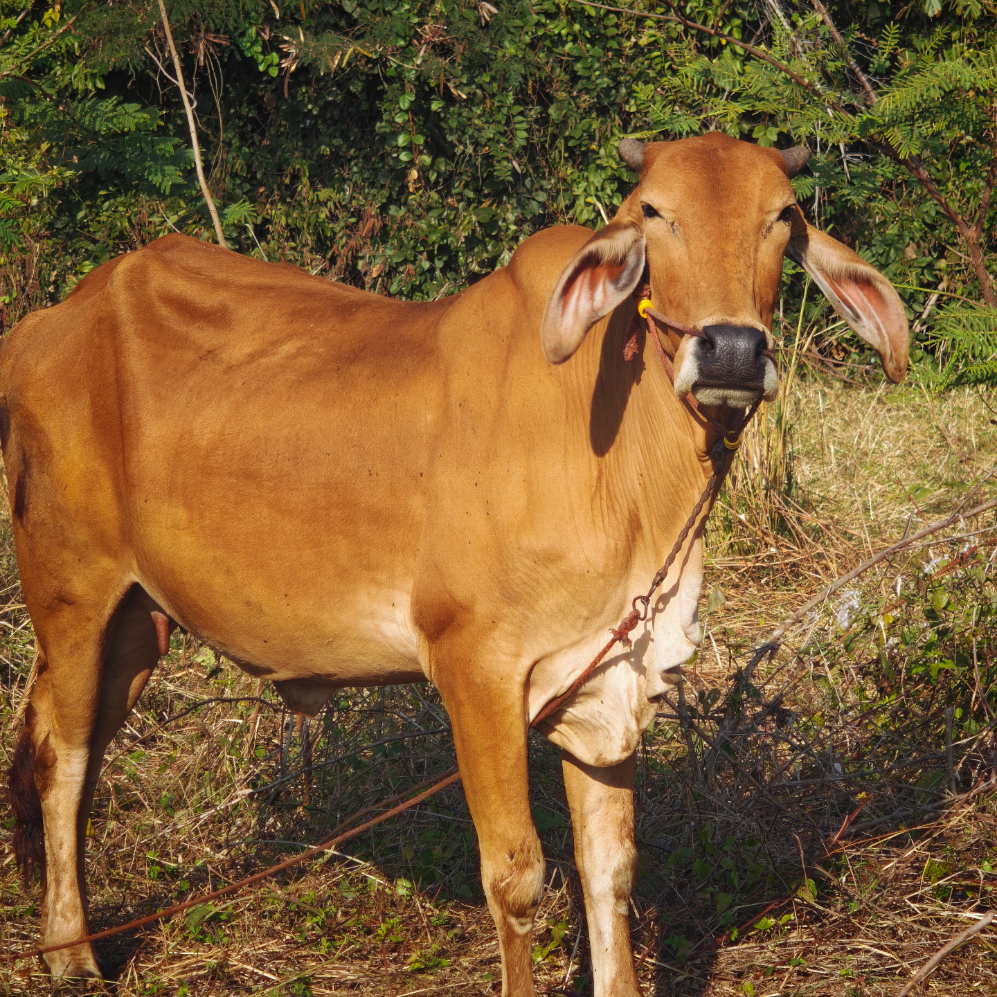 E248 与内心的真实相遇