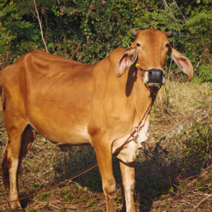 E248 与内心的真实相遇