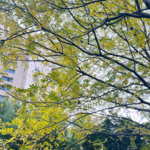 坦荡，真实会让自己更轻松自在！