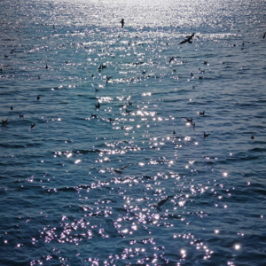 我们如何看待阶段性友情呢？