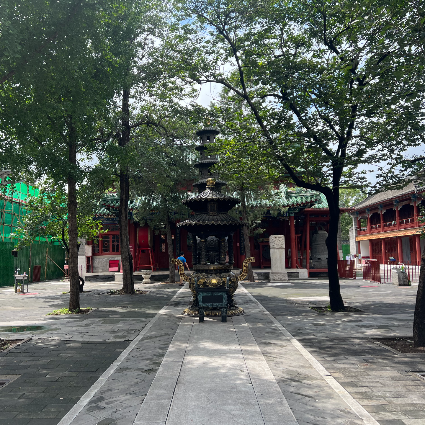 医学遗传前沿