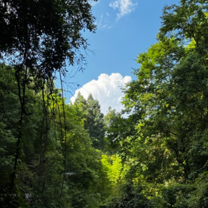 Ba.10 拖更已久,还真是不好意思呢