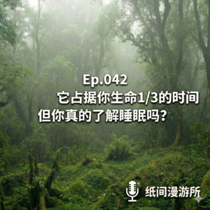 EP042 占据你生命1/3时间的睡眠,你真的了解它吗?
