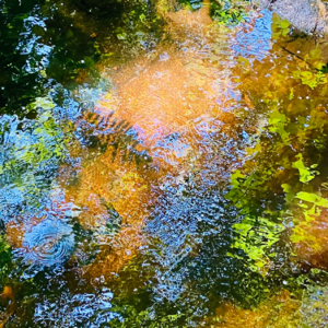 vol.01（上）林杉｜“接地气”的十年练习：美国文理学院毕业后的内在成长｜波士顿