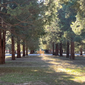 028.一定要抓住“非常突然的幸福感”，这一刻我决定原谅世界一秒钟！