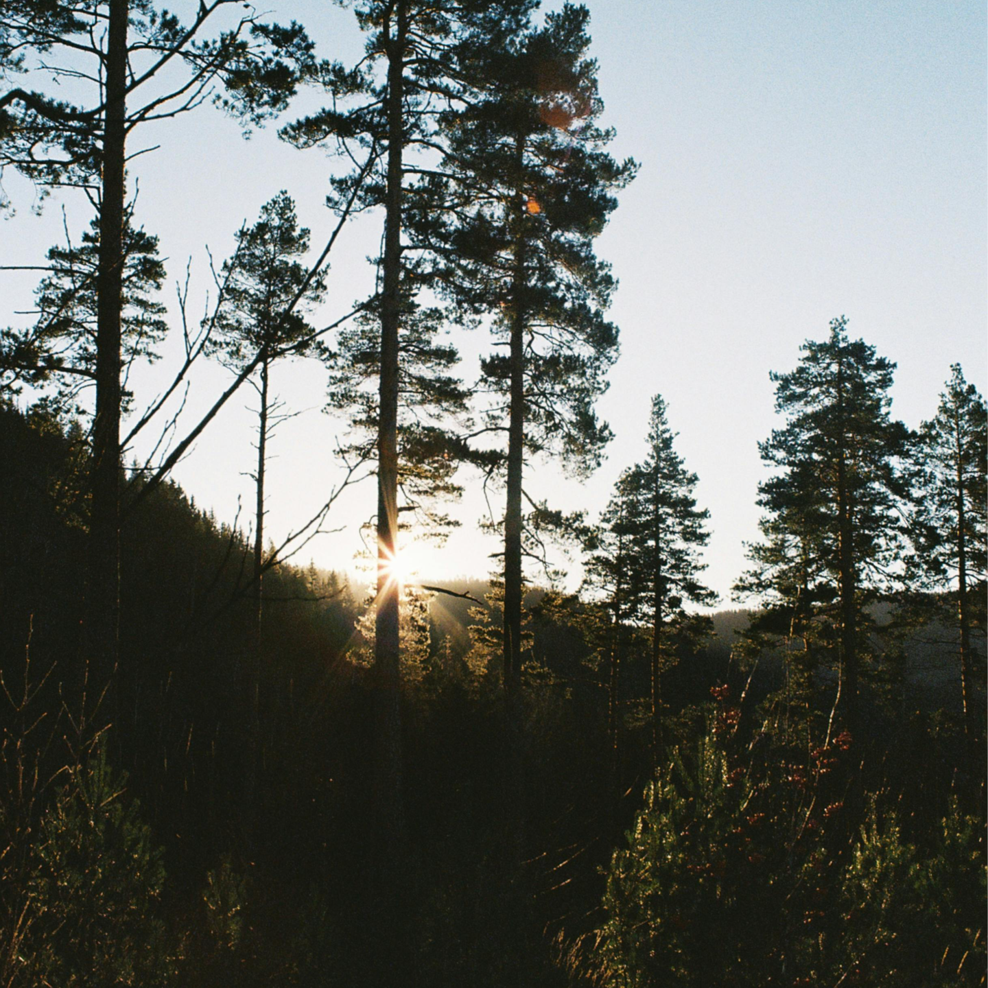 EP123丨「杂念」影响命运