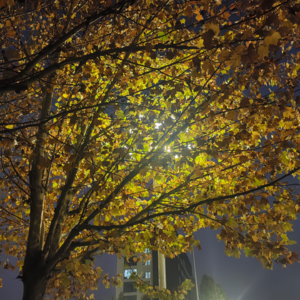 Jack叔叔谈输出的重要性