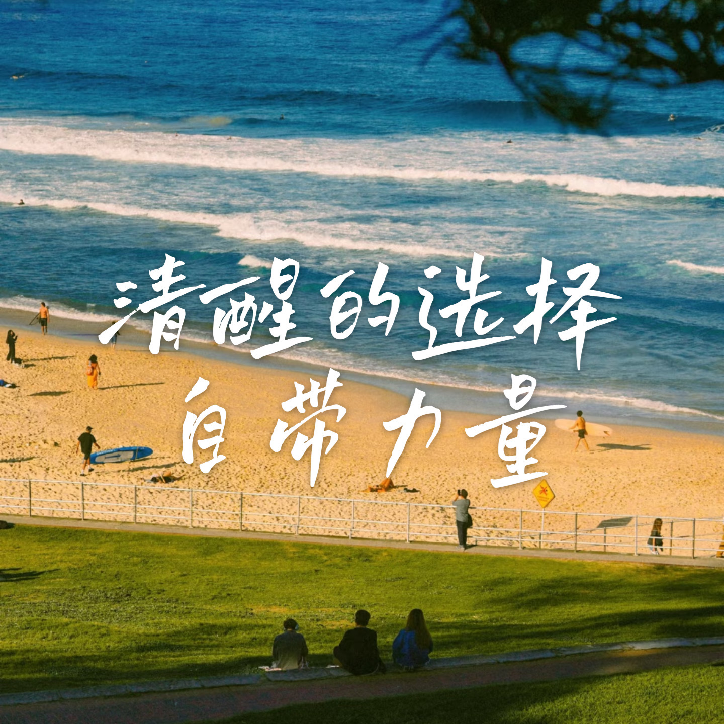 19 城市系列2 | 留不下的城，回不去的家 episode artwork