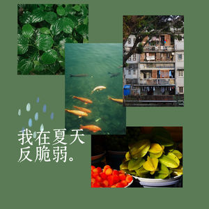 Vol.38 我在夏天反脆弱|mixtape