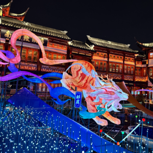 044｜新春特辑：5小时上海豫园灯会游