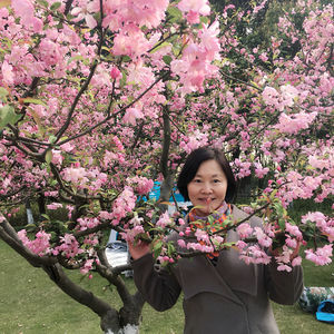 澄境的个人播客