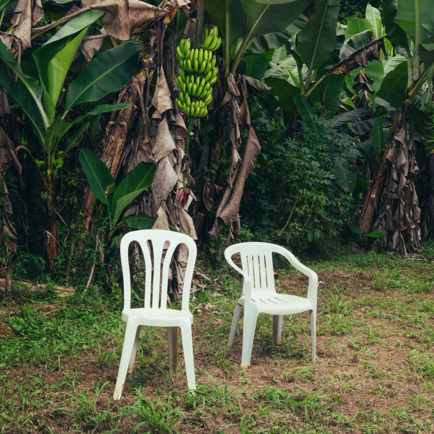 Bad Bunny - DeBÍ TiRAR MáS FOToS episode artwork