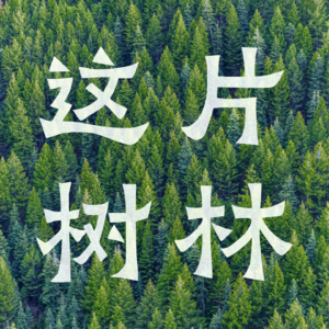 01 怎样缓解生而为人无法避免孤独感？我决定尝试一种新方法