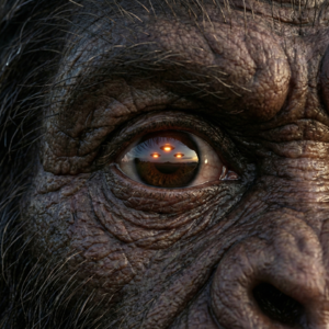 维度缝隙：当大脚怪走进光球，热成像为何显示“信号丢失”？