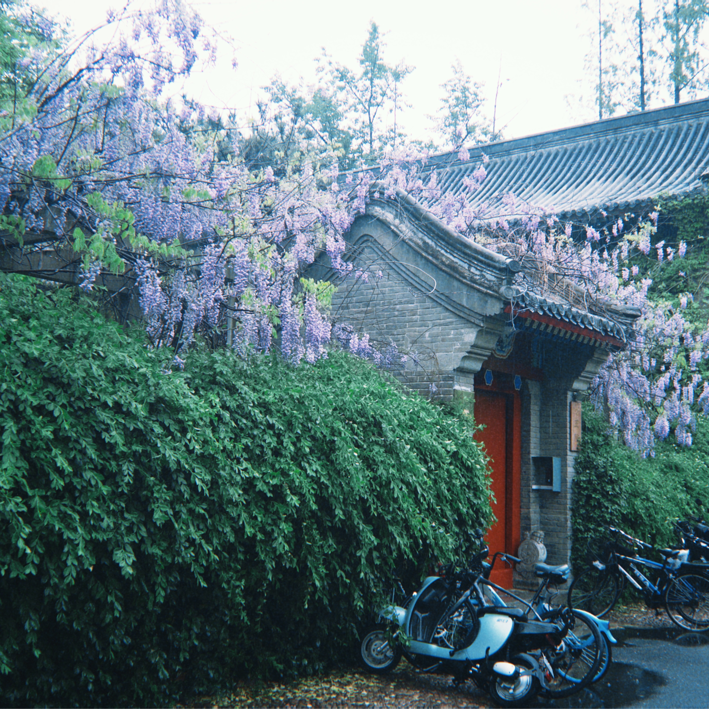 思口难调