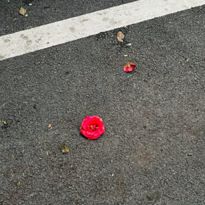 神曲28（天堂·第1-3篇）