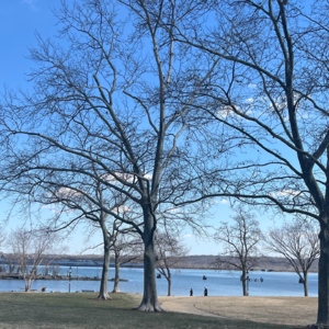 65：与拖延温柔过招：当一个高能量行动者也开始拖延