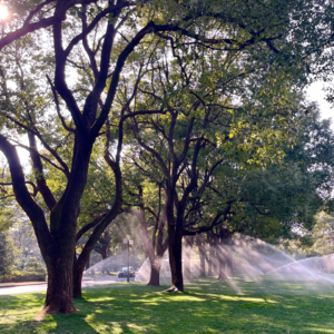 vol.11 治愈系FM｜在连绵的阴雨中等待一个晴天