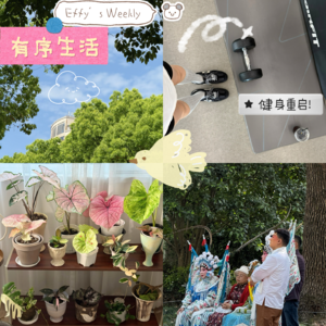 16.悄悄告诉你：“断舍离”是我让宇宙投喂惊喜的秘诀，屡试不爽！