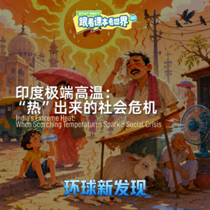印度极端高温：“热”出来的社会危机 - 2026/05 第四周